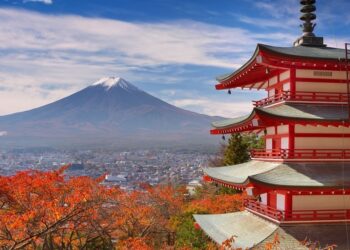 Japón Ley Regulación Casas de Cambio Criptomonedas