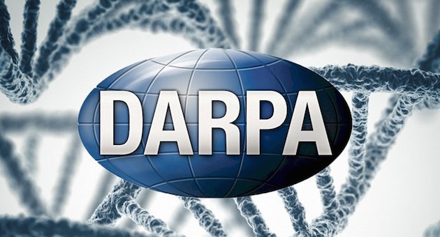 Darpa us army blockchain technology