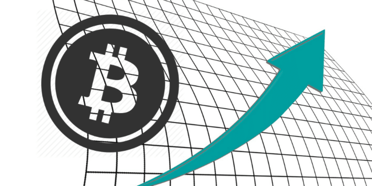 Bitcoin Precio Mercado 1000 dólares