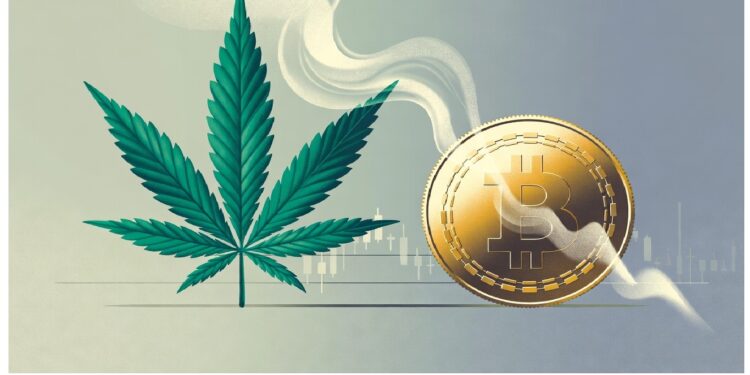 Hoja de cannabis junto a una moneda dorada de Bitcoin unidas por una estela blanca ondulante sobre fondo con líneas financieras, simbolizando la conexión entre cripto y sector cannábico.