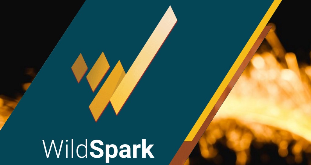 Wildspark Blockchain Contenidos