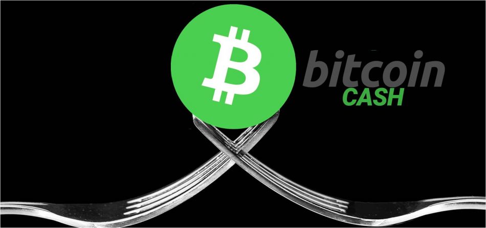 BitcoinCash-Hardfork-Noviembre-actualización