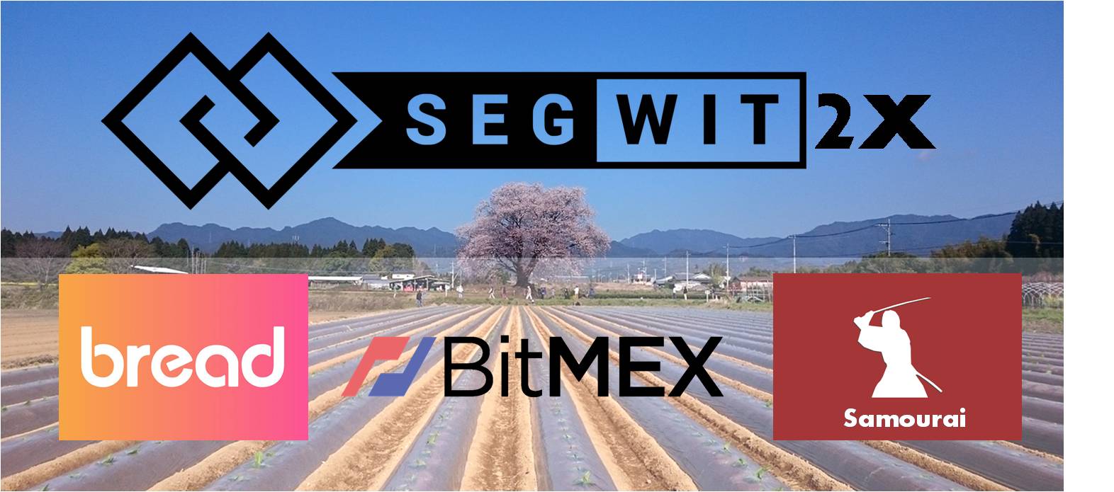 segwit2x, samourai, bitmex, bread, bifurcacion