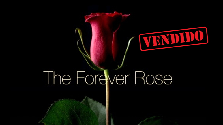 Forever-Rose-blockchain-vendida