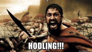 Criptomonedas-hodling-meme