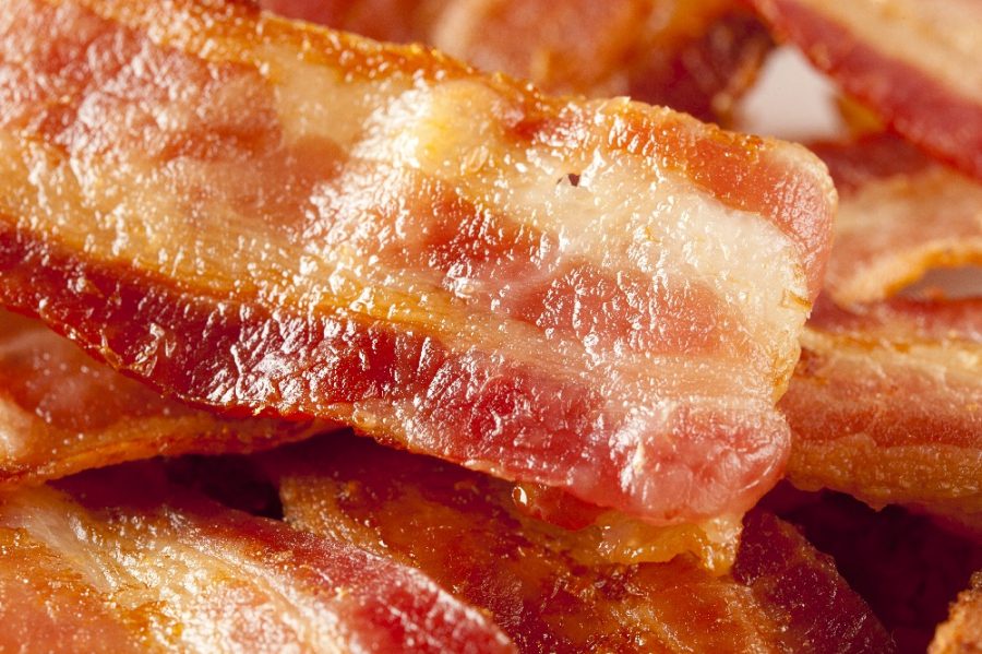 bacon-tocineta-recompensa