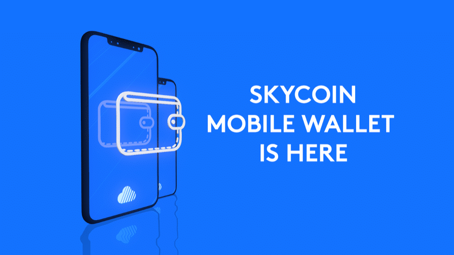 Skycoin Monedero Blockchain