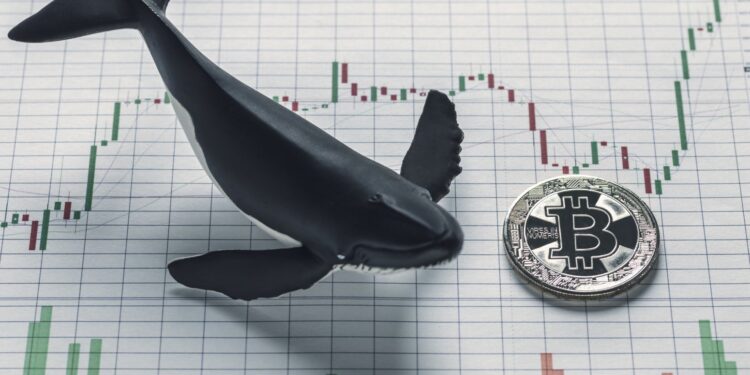 mercado-criptomonedas-traders-inversión