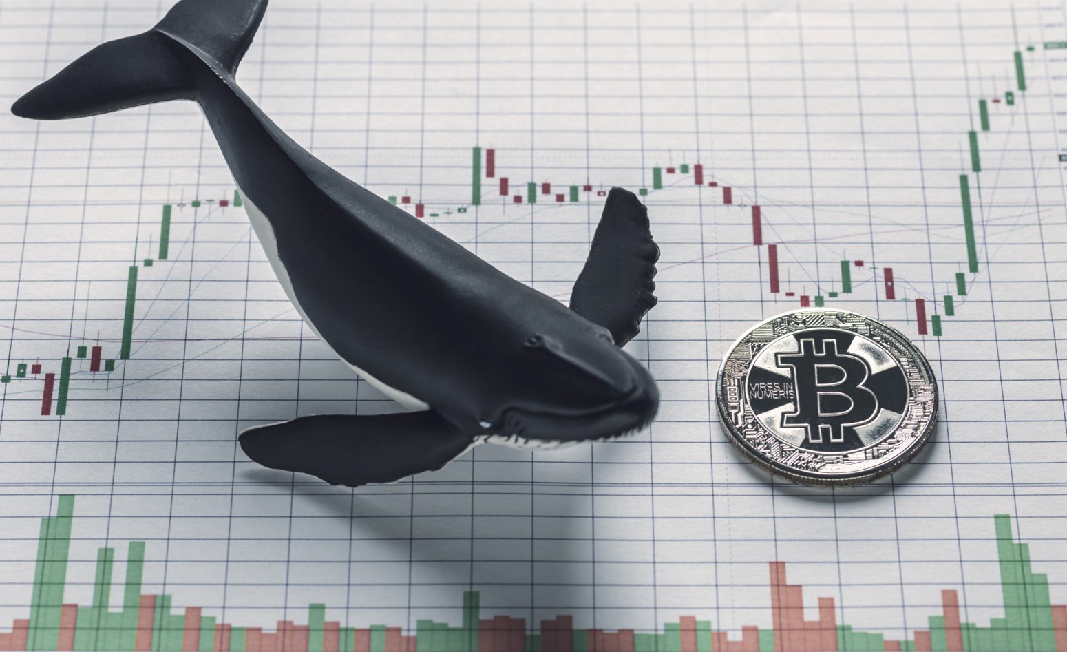 Ballenas de bitcoin han mantenido estable el criptomercado en 2018