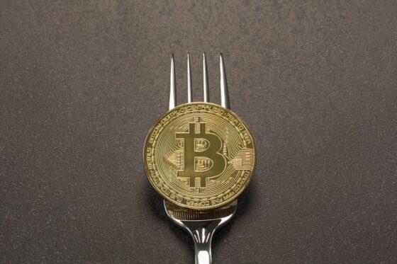 Carteras para Bitcoin Cash toman posiciones diversas ante la inminente bifurcación