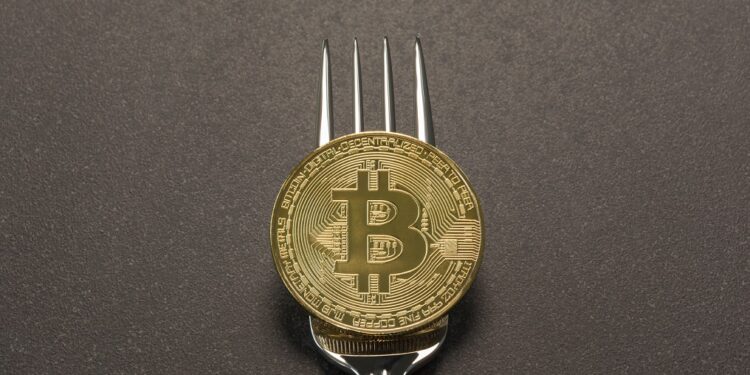 bifurcacion-monederos-bitcoin cash-criptomoneda