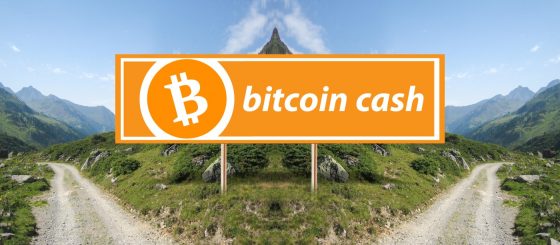 Bitcoin Cash se bifurca en dos versiones de cadenas: ABC y SV