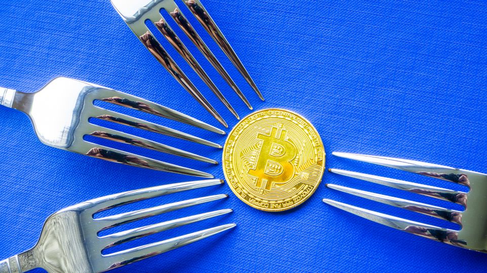 bitcoin-cash-fork-poloniex