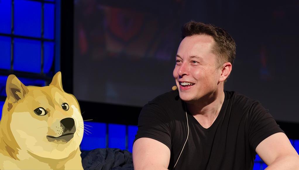 musk - ceo - dogecoin