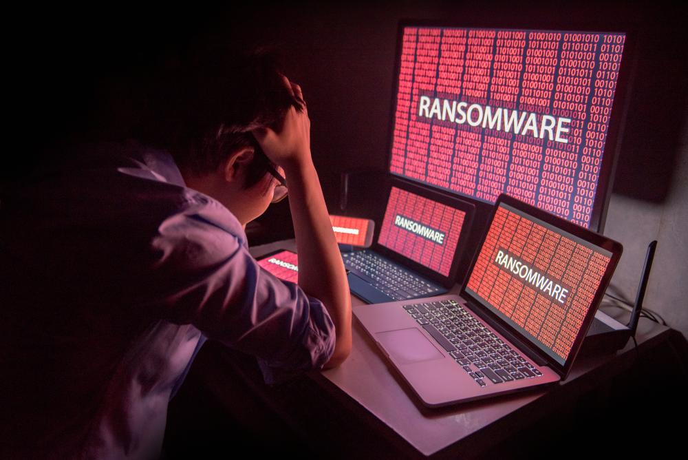 ransomware - diversifica - amplia - 2019