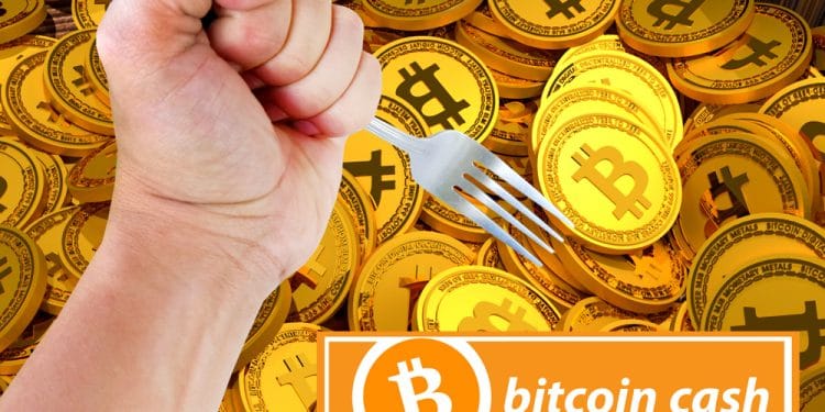hardfork-bcash-problemas