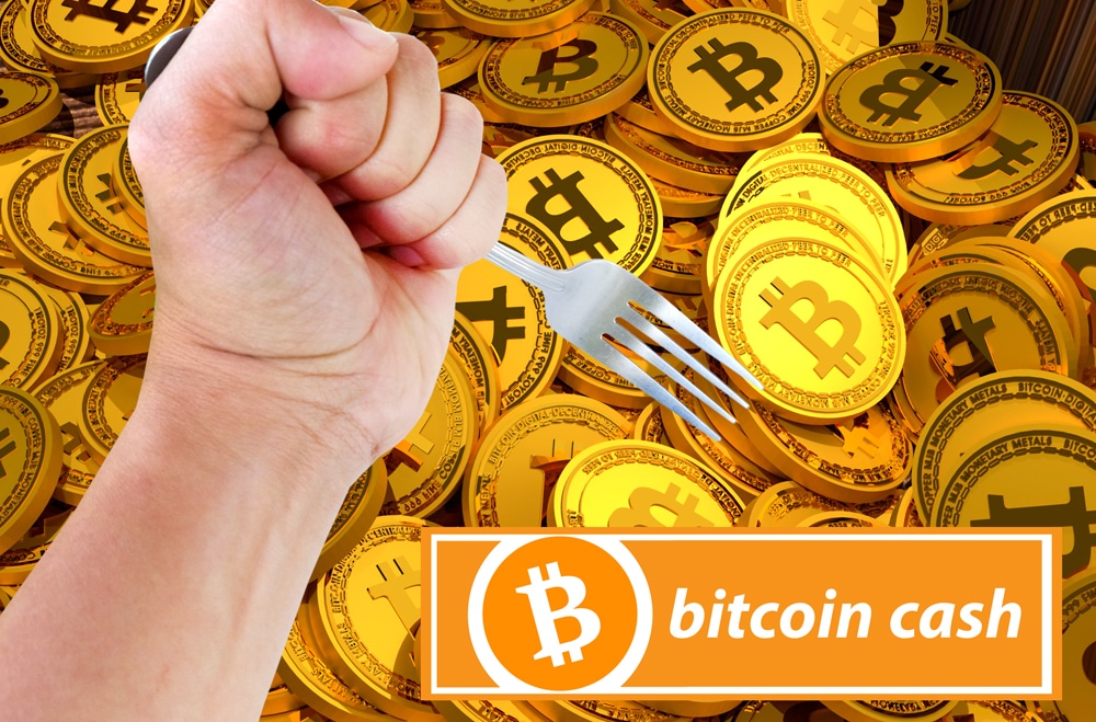 Cliente Actualizado Y Bloques Vacios Bifurcacion De Bitcoin Cash - 