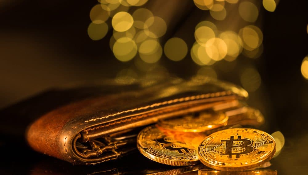 Cinco monederos de Bitcoin para novatos las criptomonedas