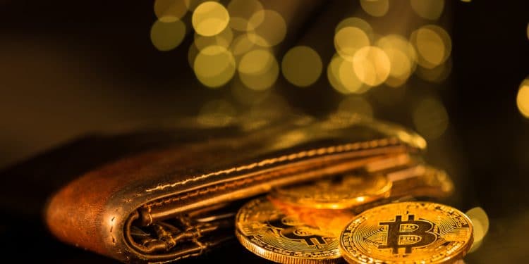Monederos-Novatos-Bitcoin