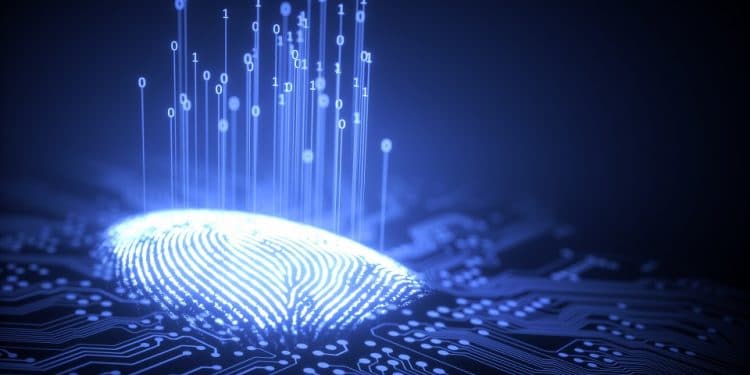 código abierto identidad GitHub prueba