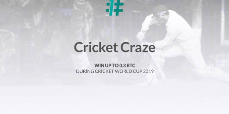 OneHash Cricket