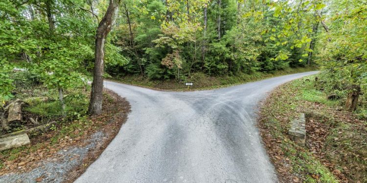 Imagen destacada por Carolyn Franks / stock.adobe.com.