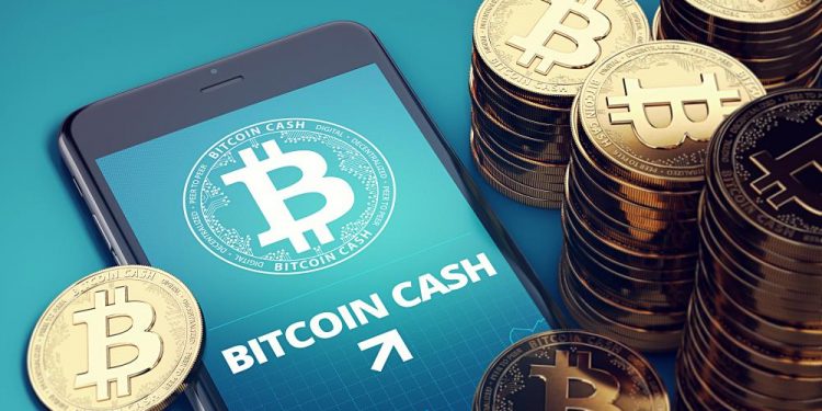 bifurcacion - bitcoin cash