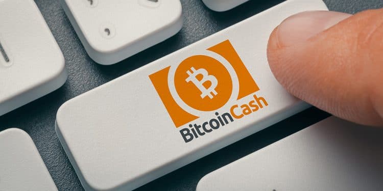 Bitcoin Cash BCH