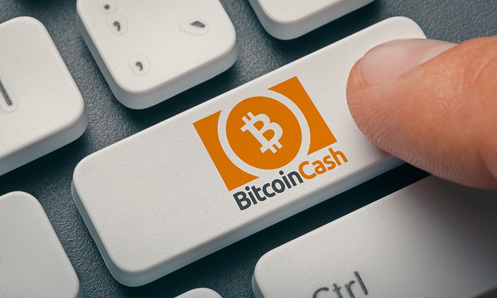Two Pools Canceled Transactions For More Than 3 000 Bch Crypto News - 