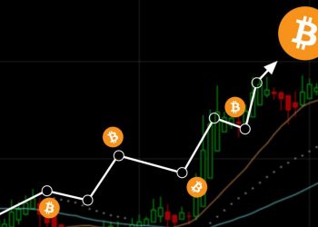 bitcoin - llega - 8000- 10 - meses