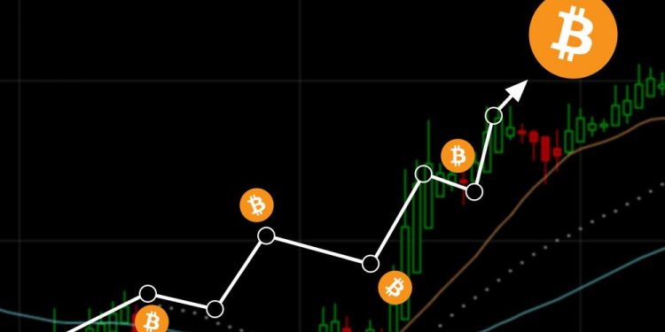 bitcoin - llega - 8000- 10 - meses