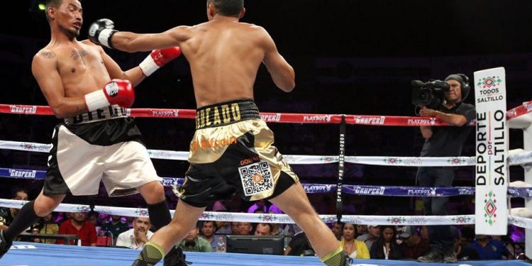 boxeo-mexico-bitcoin