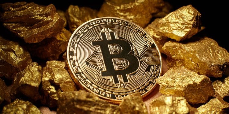 oro bitcoin capitalización