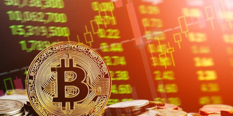 comerciante experiencia precio criptomoneda