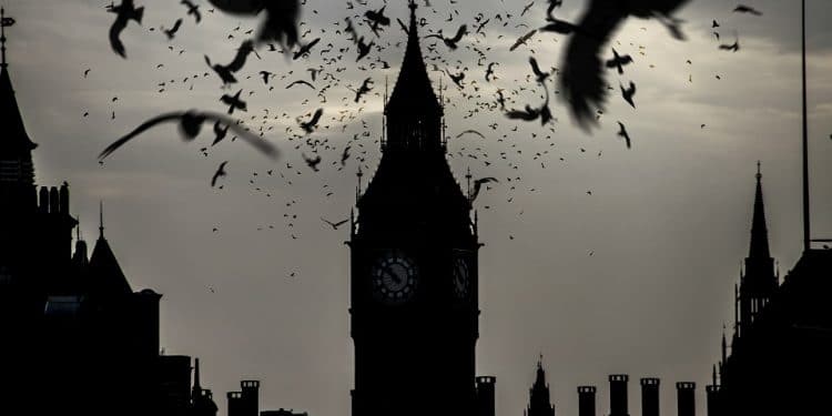 Imagen destacada por danielegay / stock.adobe.com