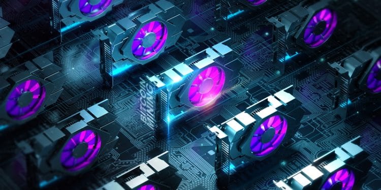 mineros de criptomonedas curiosos