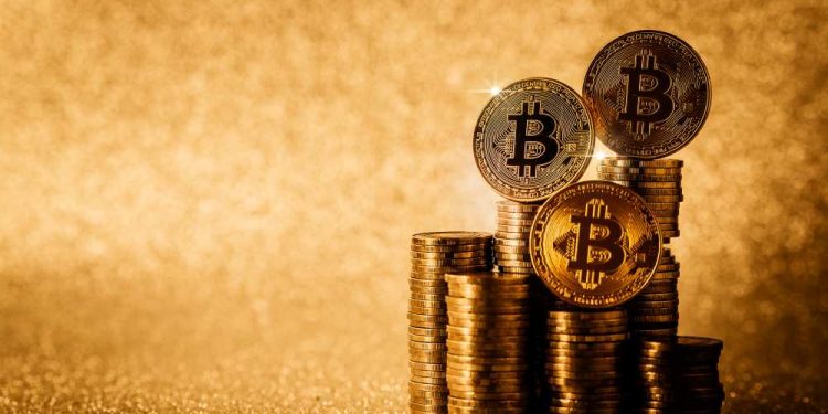 gini-btc-red-criptomoneda