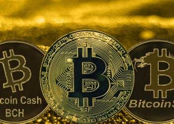 Bitcoin-BCH-BSV-valor-transferencia-red-blockchain-coinmetric