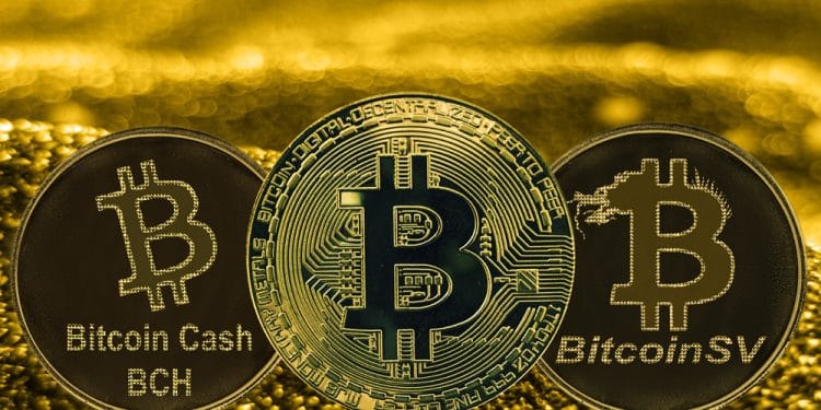 Bitcoin-BCH-BSV-valor-transferencia-red-blockchain-coinmetric