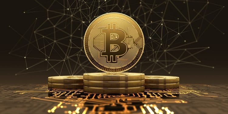 Imagen destacada por iaremenko / stock.adobe.com