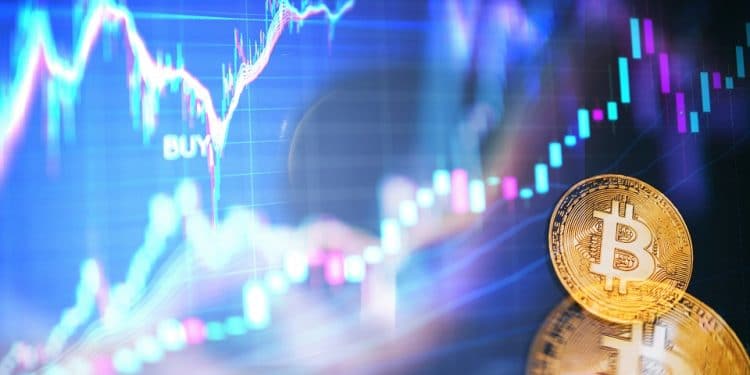 Bitso Traders Alpha Plataforma