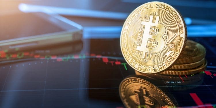Pantera precio bitcoin