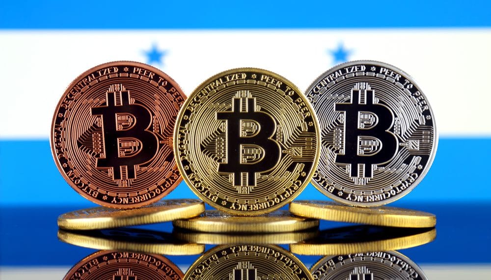 Hold or trade bitcoin
