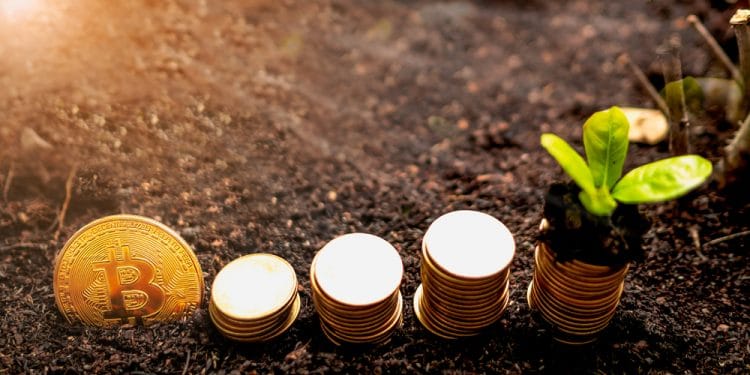 llanero-bitcoins-cosecha-venezolano