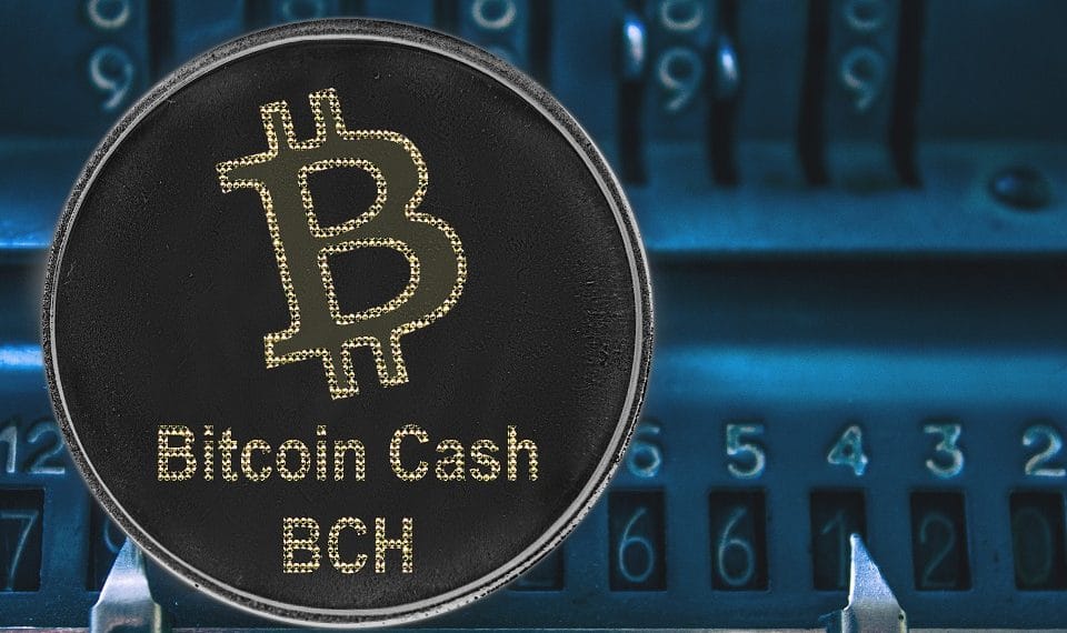 Bitcoin Cash dos años