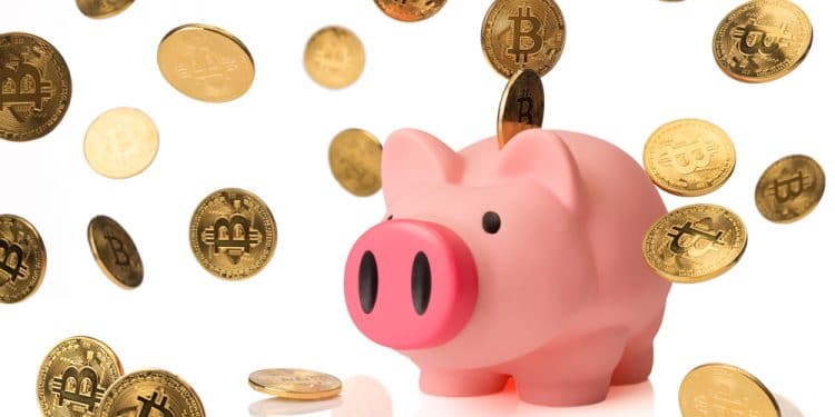 opendime-ahorro-bitcoin-educación