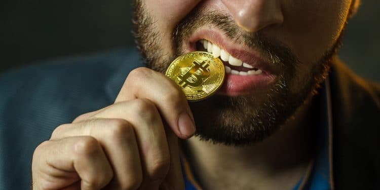 perfil usuario criptomonedas