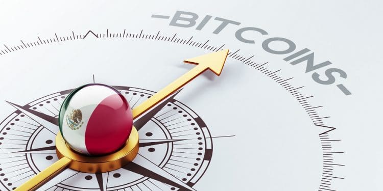 Imagen destacada por xtock/stock.adobe.com