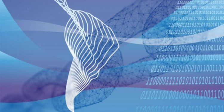 RSK NXTP blockchain latinoamérica