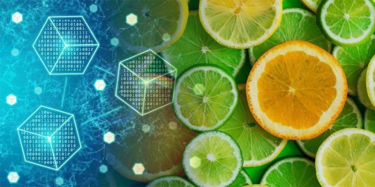 Blockchain Argentina